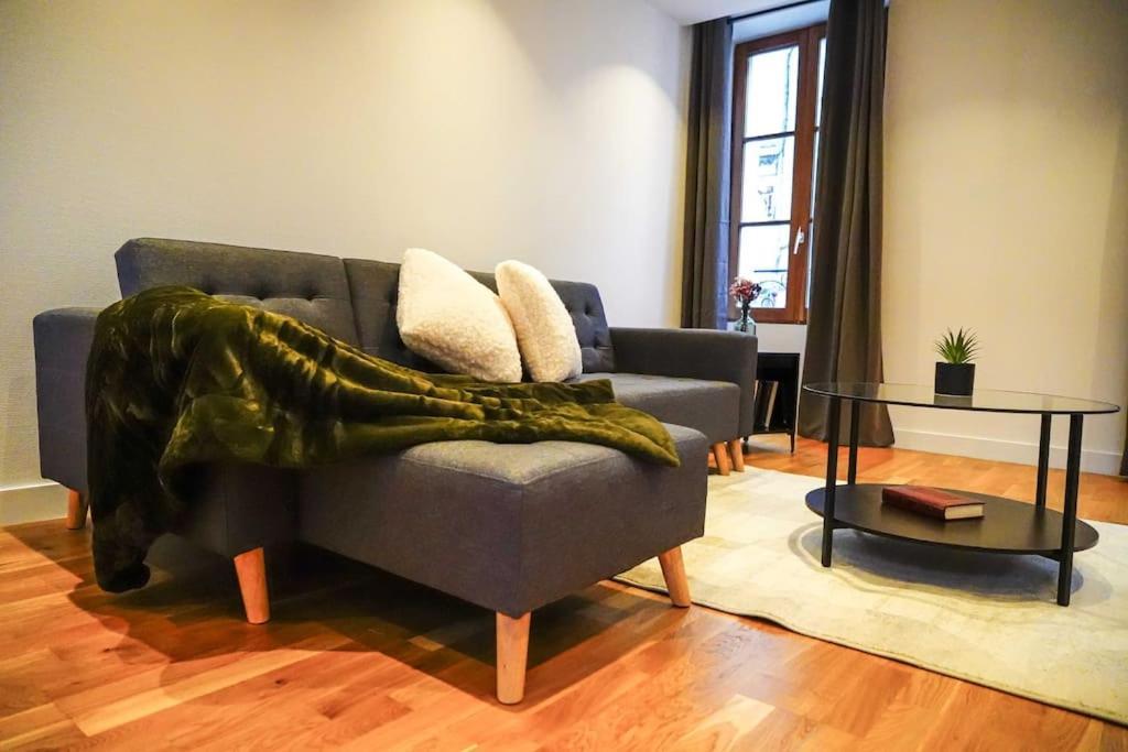 Le Rive Hugo • Elegance & Art De Vivre Apartment Chateauroux Luaran gambar